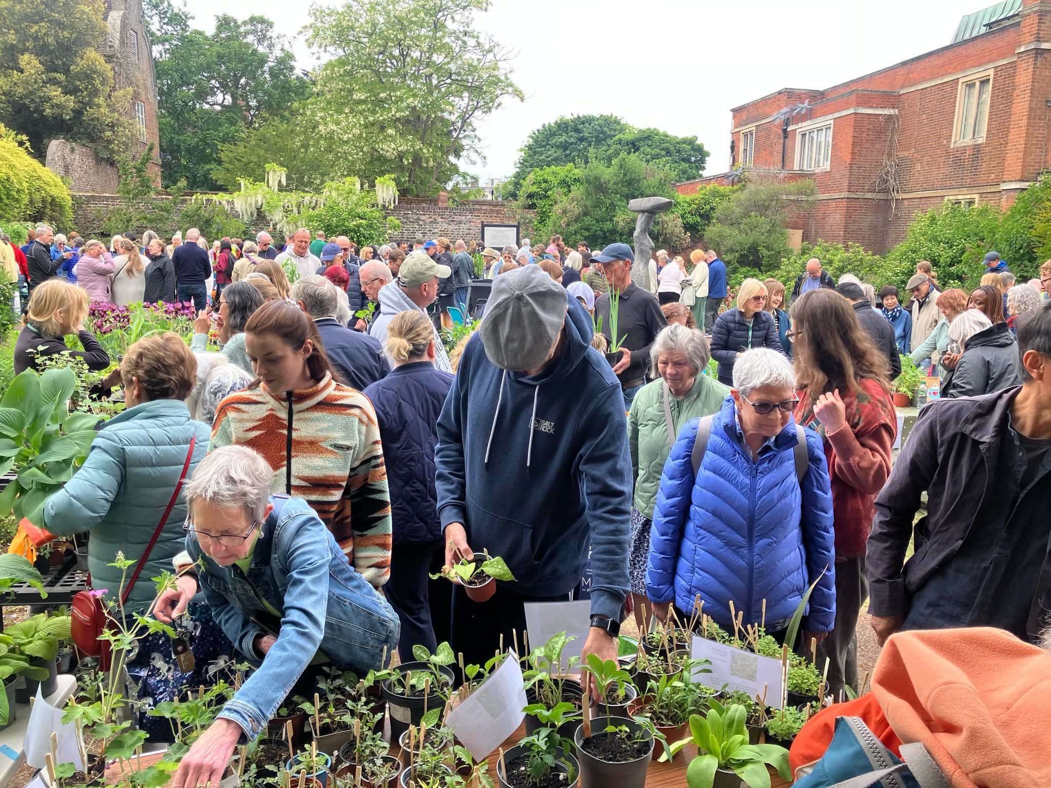 Charlton House & Gardens Plant Sale